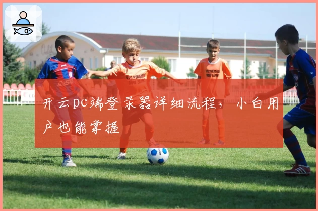 开云pc端登录器详细流程，小白用户也能掌握