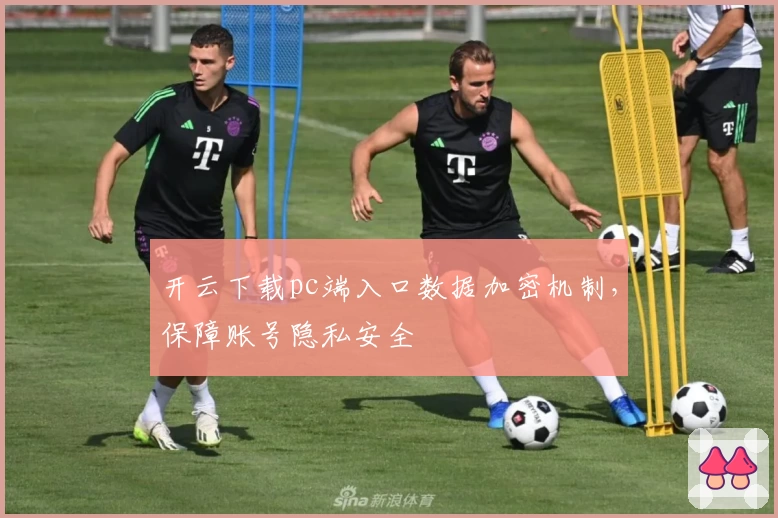 开云下载pc端入口数据加密机制，保障账号隐私安全