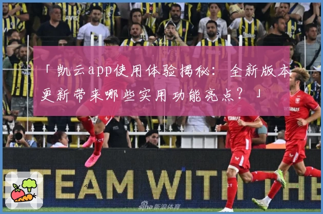「凯云app使用体验揭秘：全新版本更新带来哪些实用功能亮点？」
