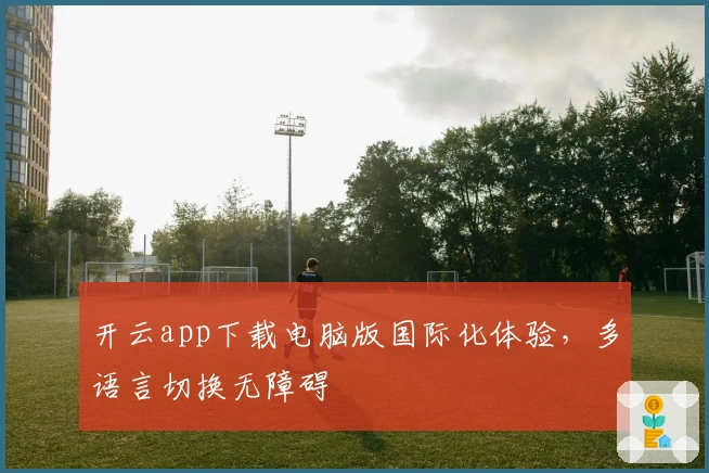 开云app下载电脑版国际化体验，多语言切换无障碍