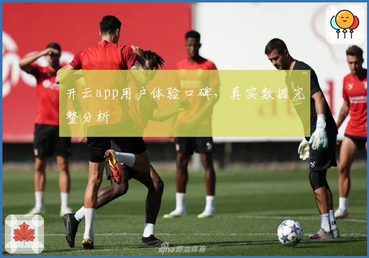 开云app用户体验口碑，真实数据完整分析